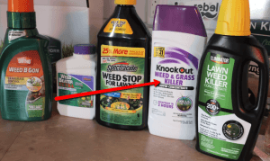 Best Weed Killer For Gravel: Our Top 6 Picks Of 2020